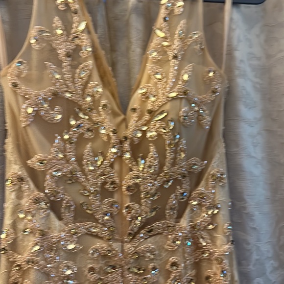 Champagne embellished long gown - Picture 5 of 6